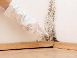 Best Mold Removal for HVAC Installations in Castle Shannon, PA